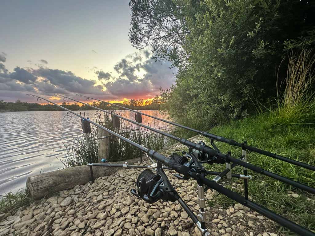 dragon carp fishing reels Daiwa Maddragon 12' Rod 1 gear ratio and 0.35mm/190m line capacity. Dragon Island in June: Sun,