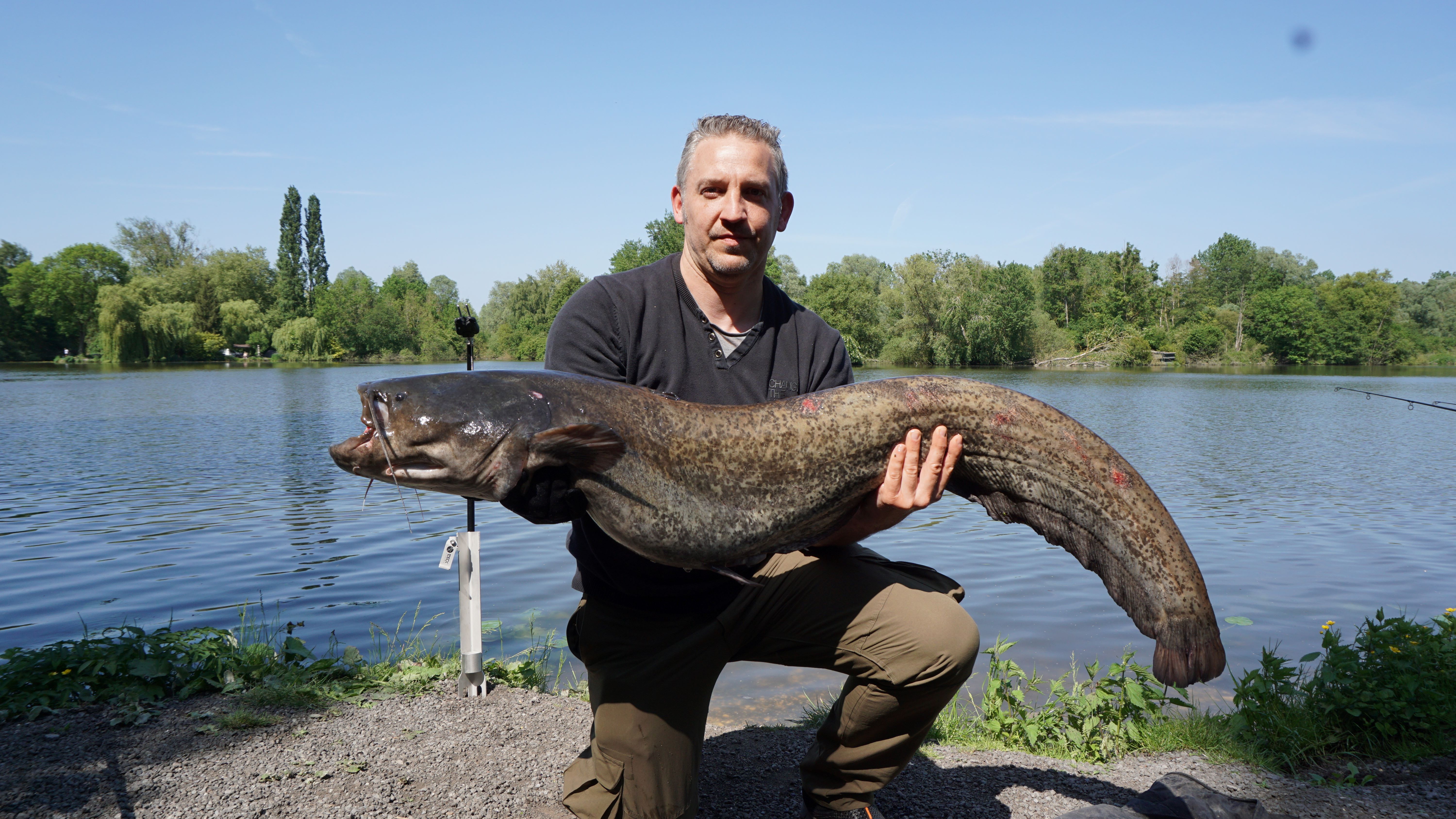 Meervalavontuur op Domaine des Iles: méér dan karper alleen | The Carp  Specialist, image size:6000x3376