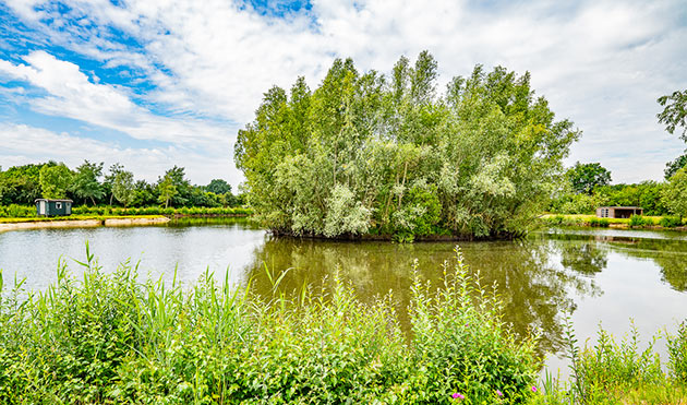 Weids uitzicht over het water bij Summer Carp Lake - Big Lake