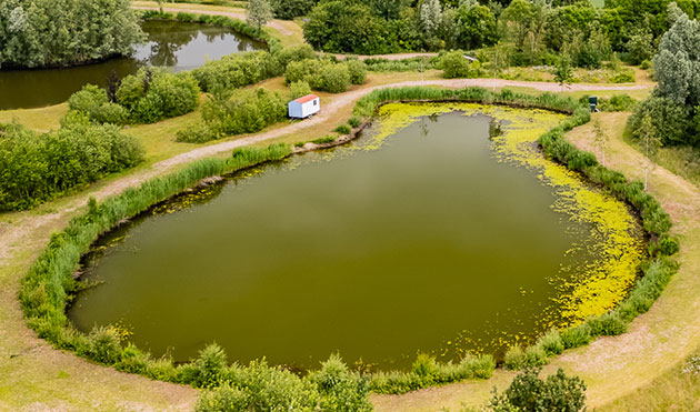Luchtfoto van Summer Carp Lake - Small Lake op Landgoedvisserij Someren