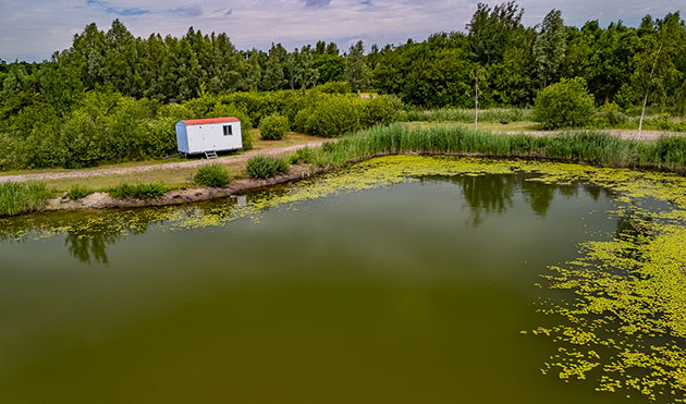 Pipowagen aan het water bij Summer Carp Lake - Small Lake