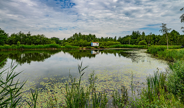 Rustig uitzicht over Summer Carp Lake - Small Lake